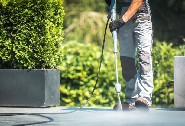 Best Patio and Deck Pressure Washing  in Le Roy, IL